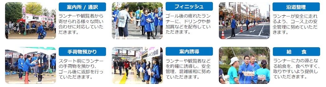 主な活動内容